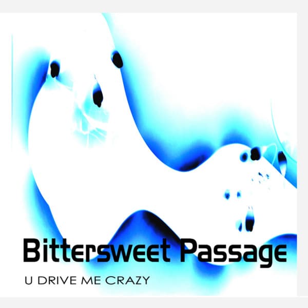 Bittersweet Passage artist profile image