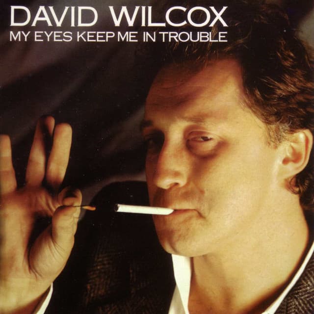 David Wilcox artist profile image
