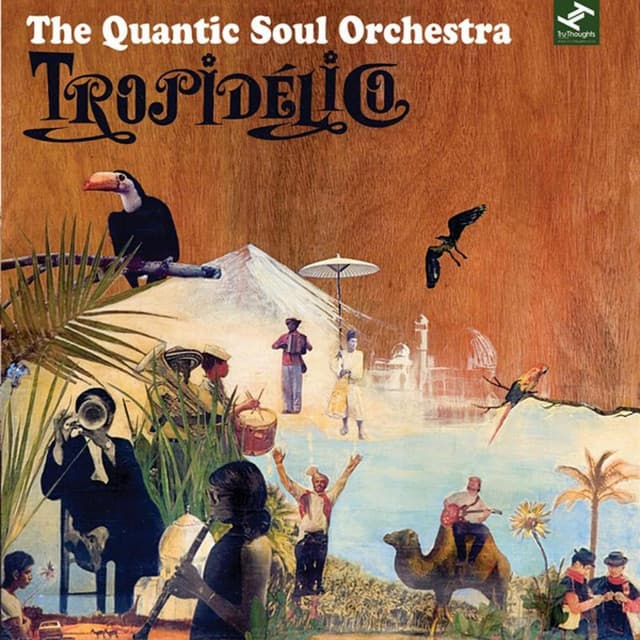 The Quantic Soul Orchestra artist profile image