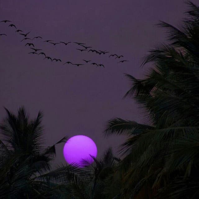 96 owens artist profile image