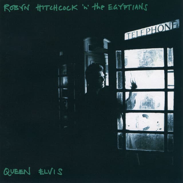 Robyn Hitchcock & The Egyptians artist profile image