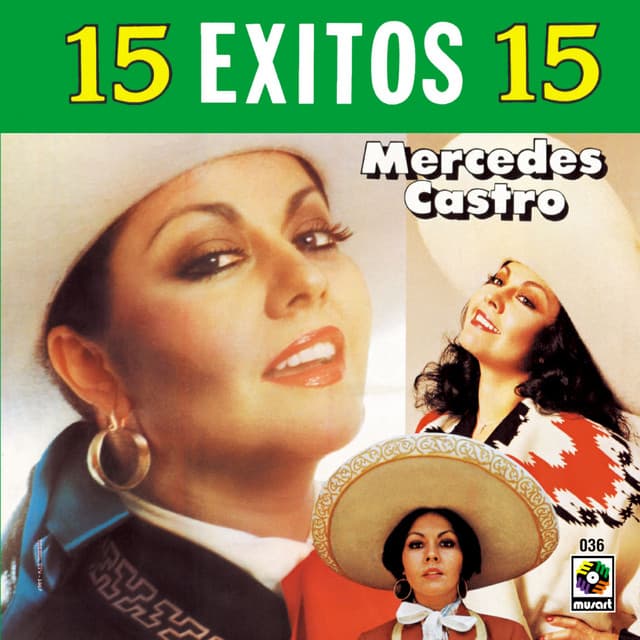 Mercedes Castro's artist profile image