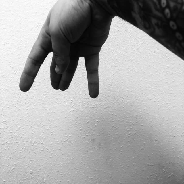 Max Bemis's artist profile image