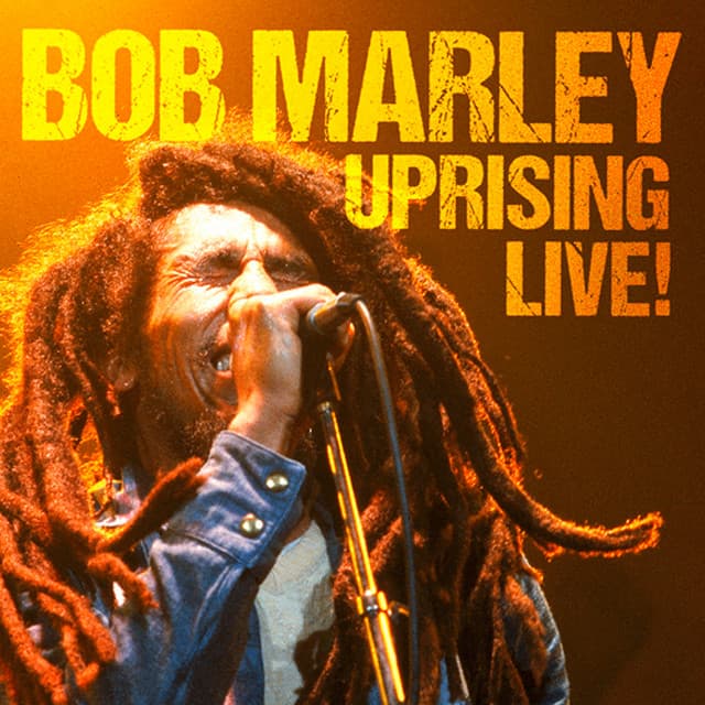 Bob Marley artist profile image