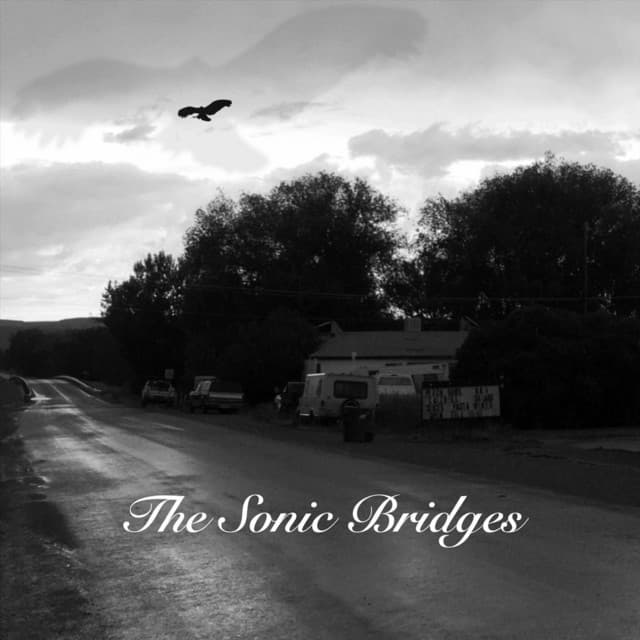The Sonic Bridges artist profile image
