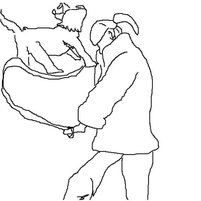 I Tried to Run Away When I Was 6 (But Got Too Scared to Cross the Street) artist profile image
