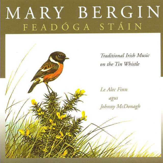 Mary Bergin artist profile image