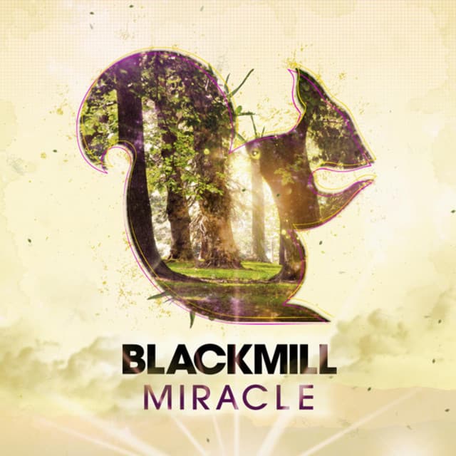 Blackmill artist profile image