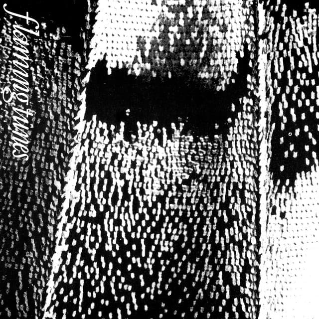 Flaming Tunes artist profile image