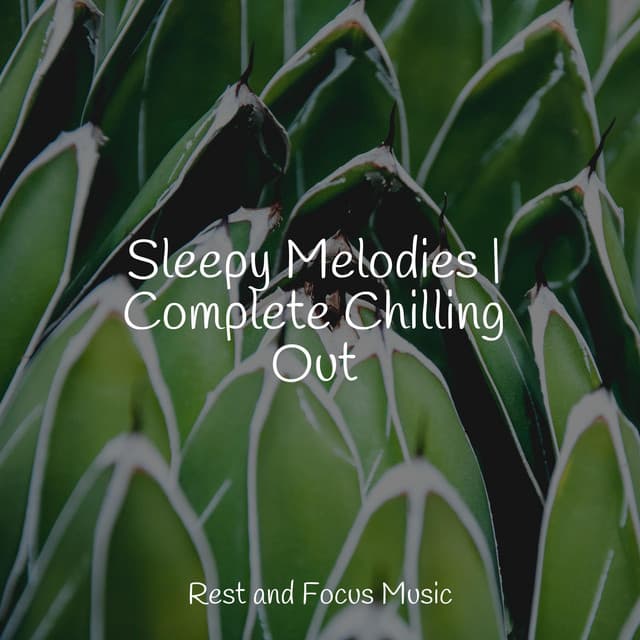 Musica Reiki artist profile image