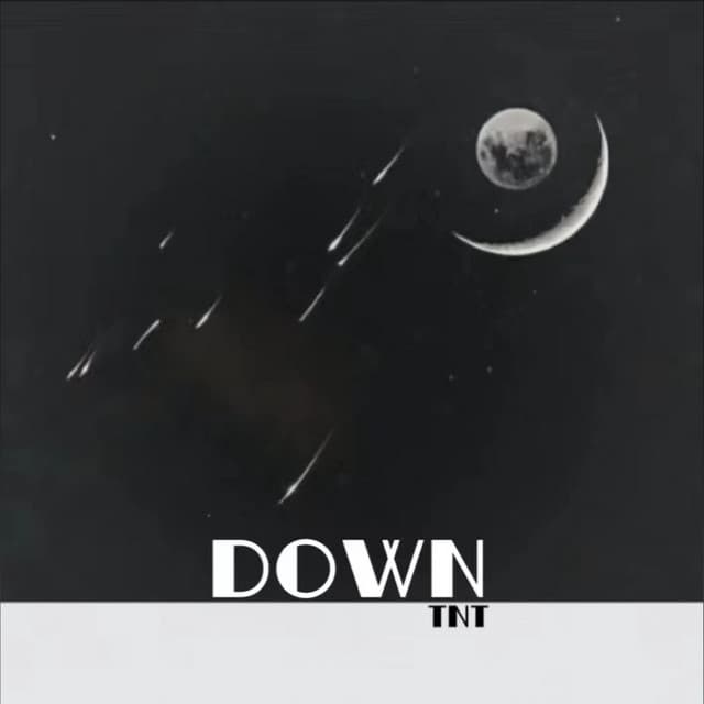 TNT artist profile image