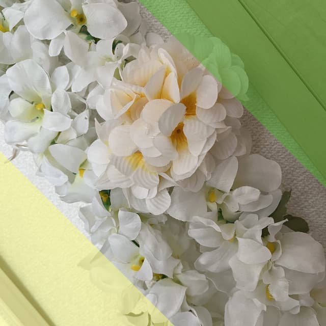 テープのり artist profile image