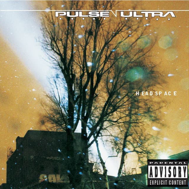 Pulse Ultra profile