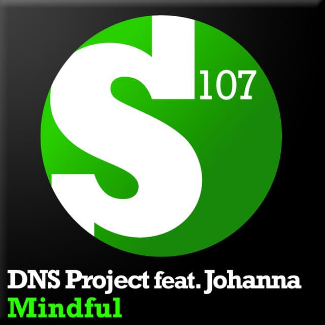 DNS Project artist profile image