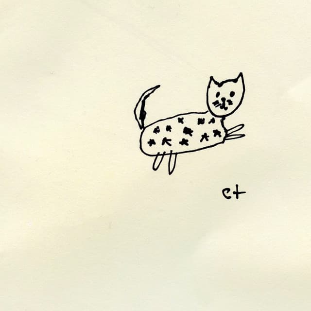 Starry Cat artist profile image