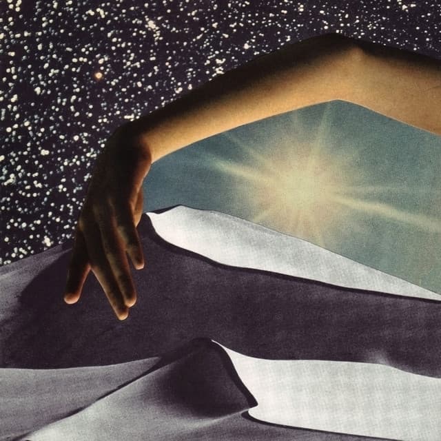 Steve Shelley's artist profile image