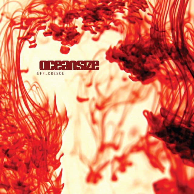 Oceansize artist profile image