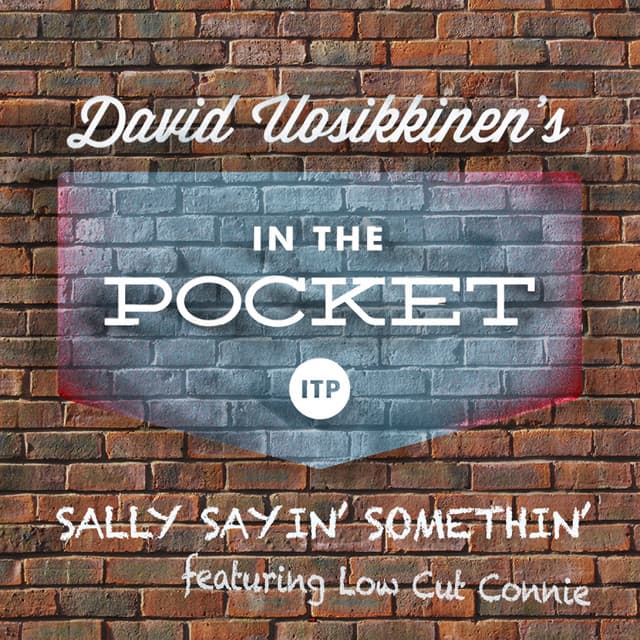 David Uosikkinen's in the Pocket artist profile image