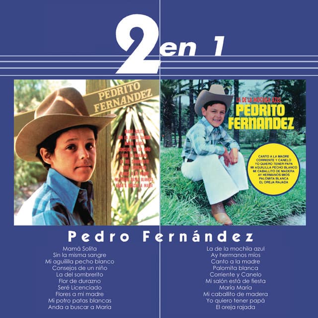 Pedrito Fernández artist profile image