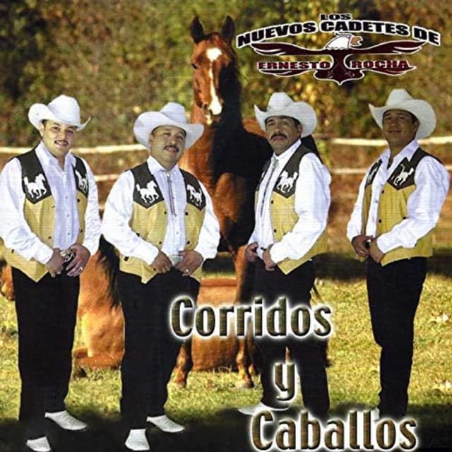 Los Nuevos Cadetes De Ernesto Rocha artist profile image