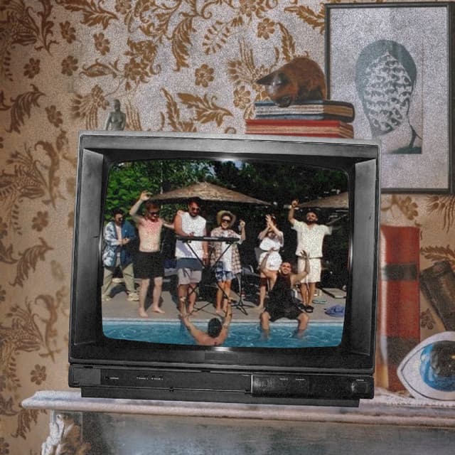 Leo de la Izvoare artist profile image