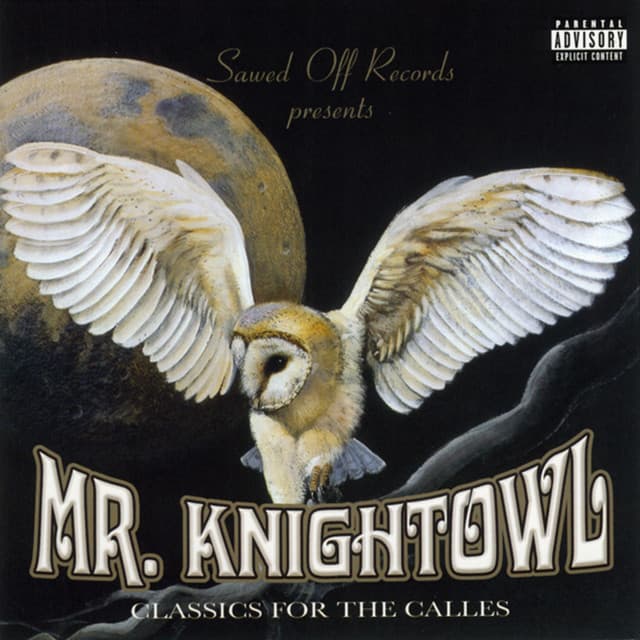 Mr. Knightowl artist profile image