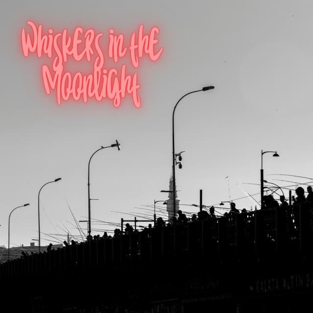 Svenno X artist profile image