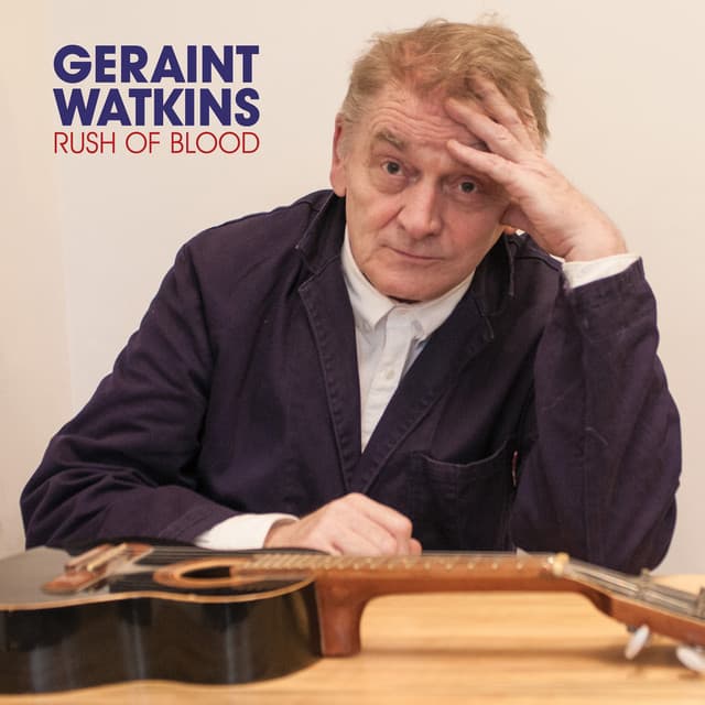 Geraint Watkins artist profile image