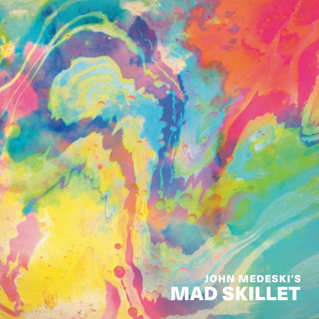 John Medeski's Mad Skillet artist profile image