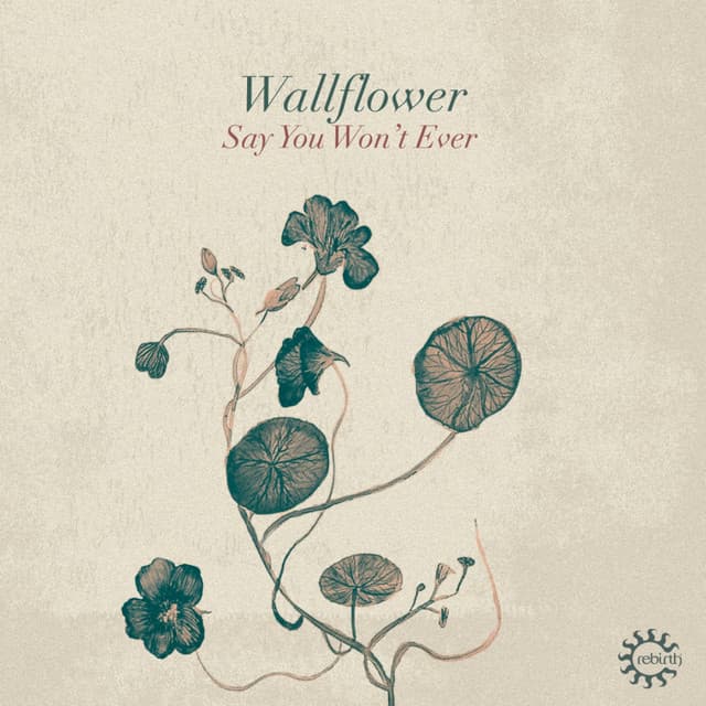 Wallflower artist profile image