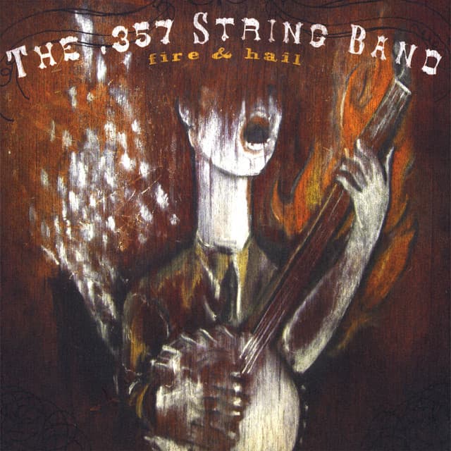 The .357 STring Band artist profile image