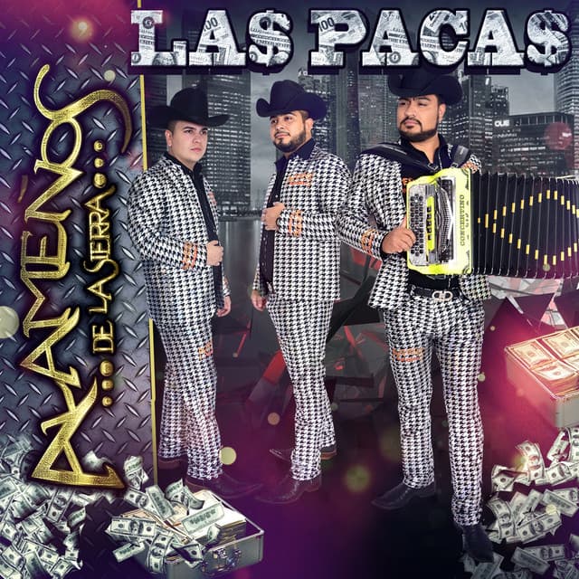 Alameños de la Sierra's artist profile image