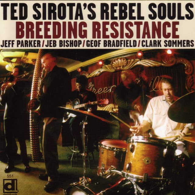 Ted Sirota's Rebel Souls artist profile image