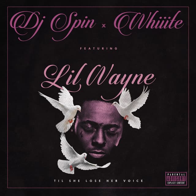 Dj Spin artist profile image