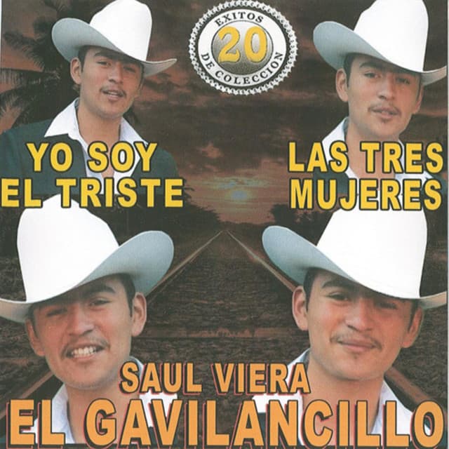 Saul Viera El Gavilancillo artist profile image
