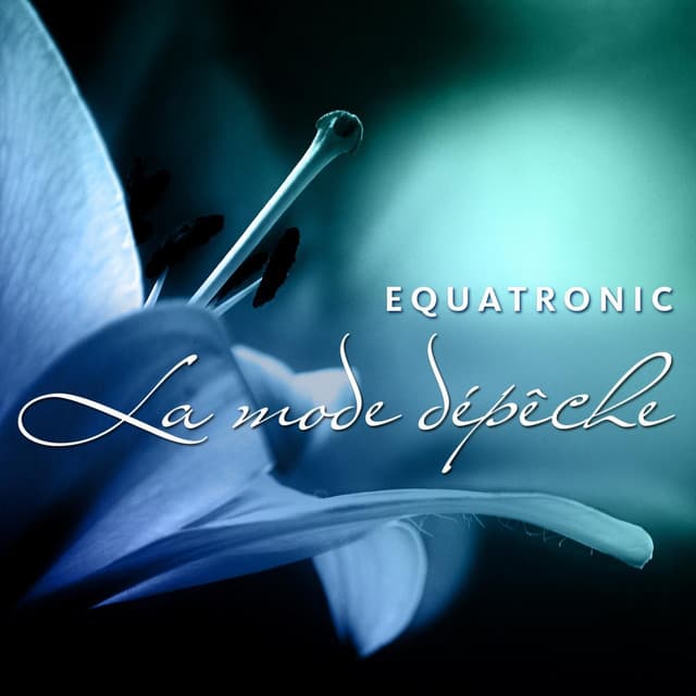 Equatronic profile