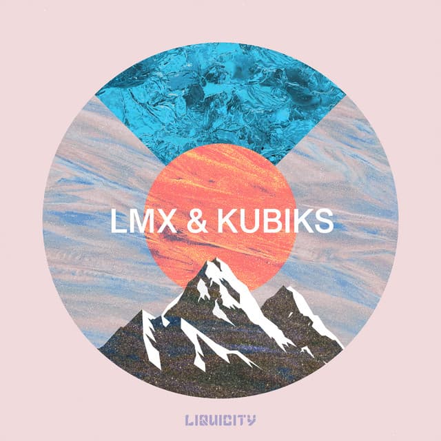 LMX artist profile image