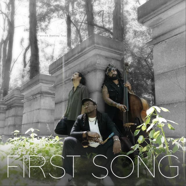 Patrick Bartley Trio artist profile image