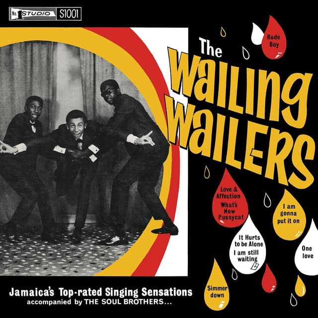 The Wailers artist profile image