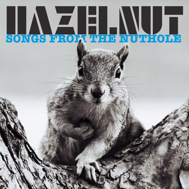 Hazelnut artist profile image