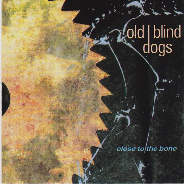 Old Blind Dogs artist profile image