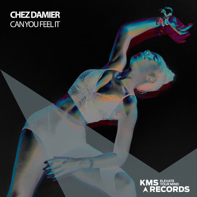 Chez Damier artist profile image