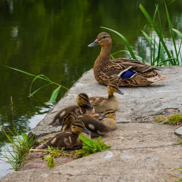 Yrzigo artist profile image