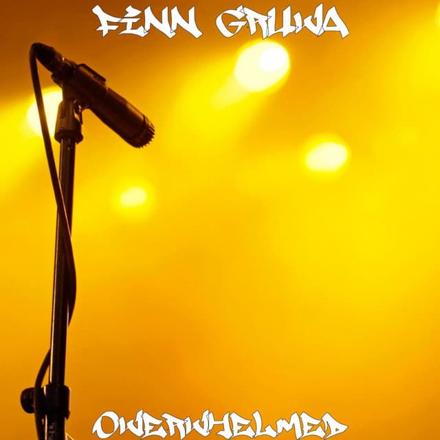 Finn Gruva artist profile image