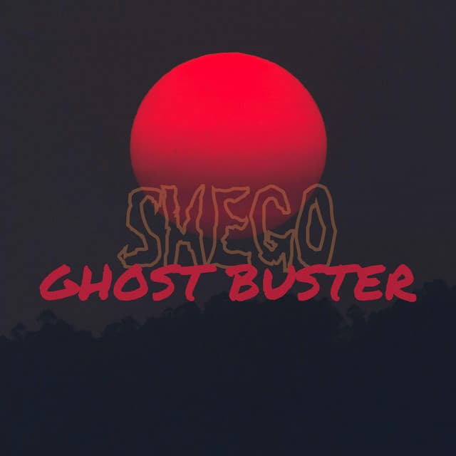 SHEGO artist profile image