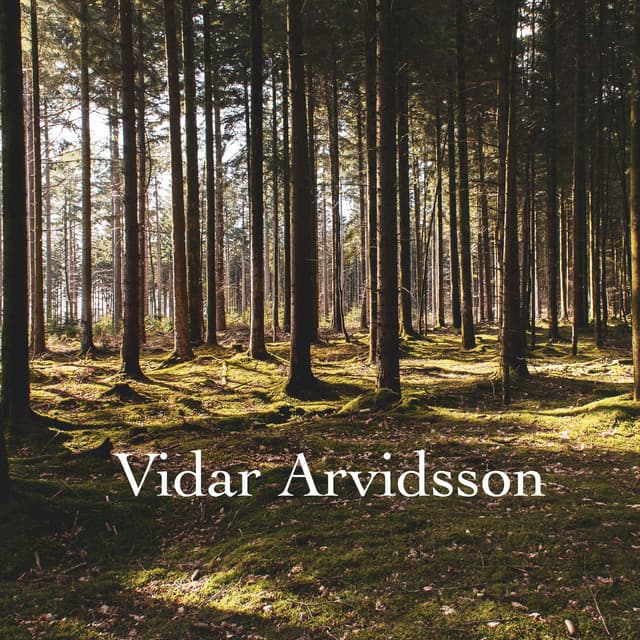Vidar Arvidsson artist profile image