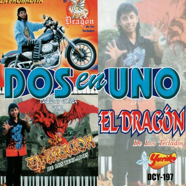 El Dragon De Los Teclados artist profile image