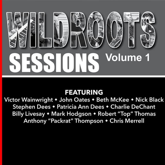 The Wildroots artist profile image