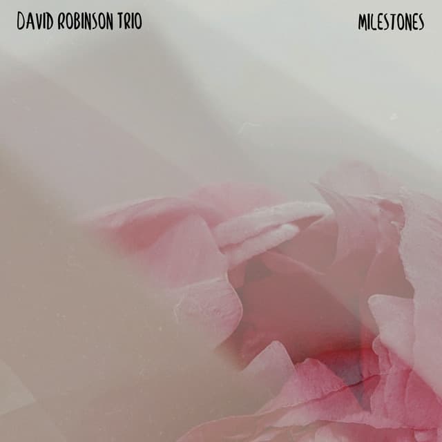 David Robinson Trio artist profile image