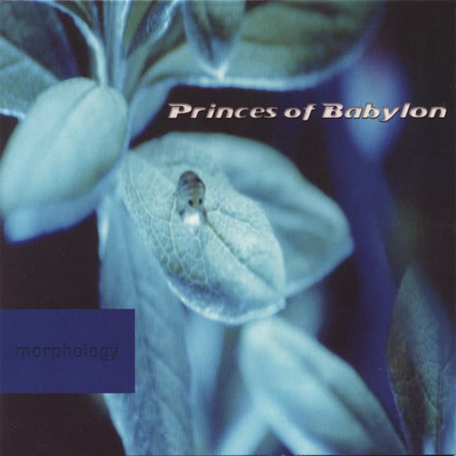 Princes of Babylon artist profile image